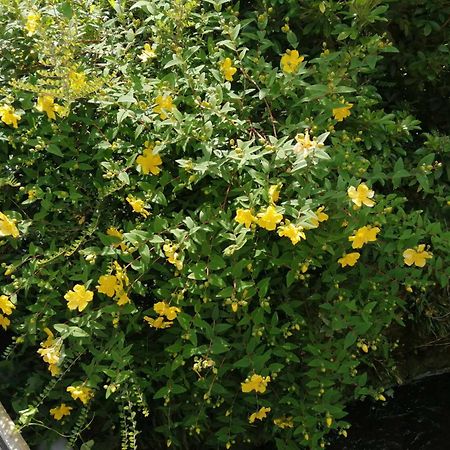 O Jardin De Boutancourt Villa Ngoại thất bức ảnh