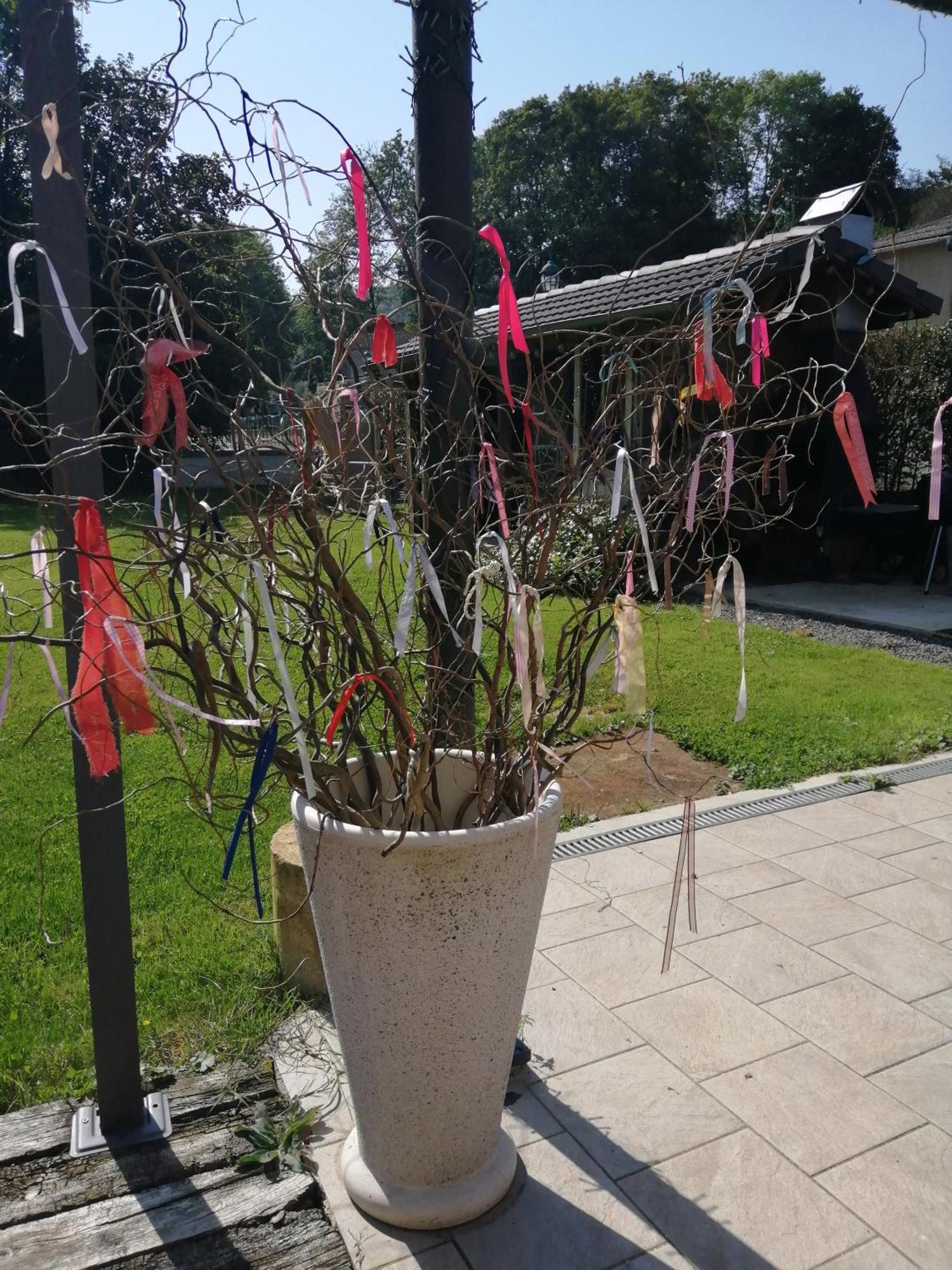 O Jardin De Boutancourt Villa Ngoại thất bức ảnh