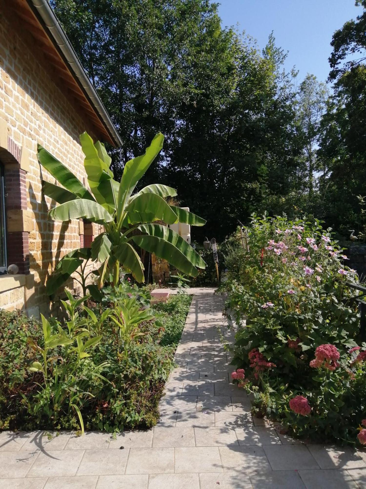 O Jardin De Boutancourt Villa Ngoại thất bức ảnh