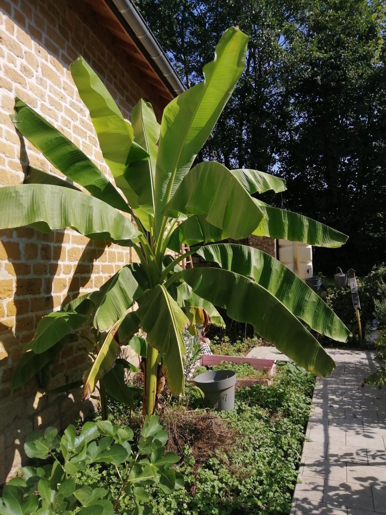 O Jardin De Boutancourt Villa Ngoại thất bức ảnh